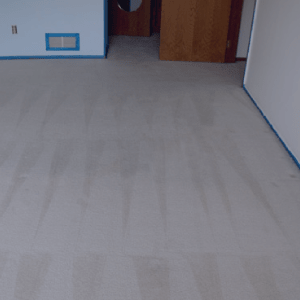 After Carpet Cleaning After Carpet Cleaning