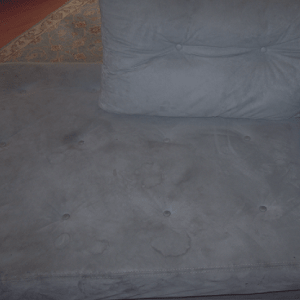 Before Upholstery Cleaning Before Upholstery Cleaning