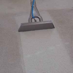 Carpet Steam Cleaners Carpet Steam Cleaners