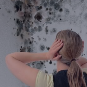 Remove Mold Remove Mold