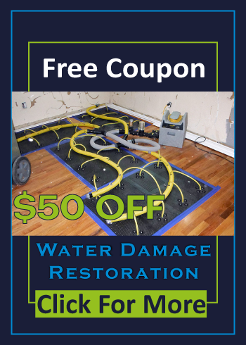 Carpet Offer